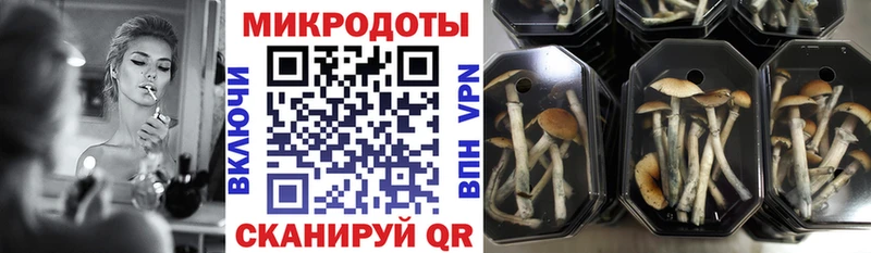 Галлюциногенные грибы ЛСД  как найти закладки  Сланцы 
